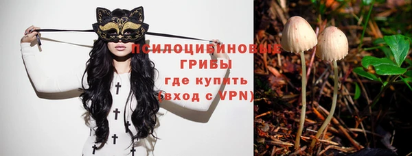 сатива Белоозёрский