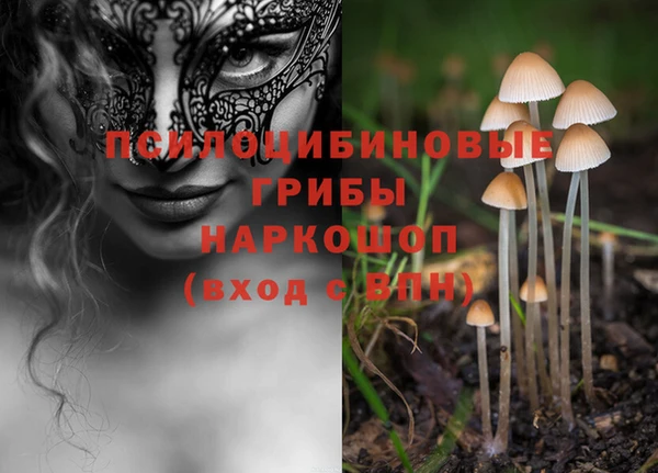 сатива Белоозёрский