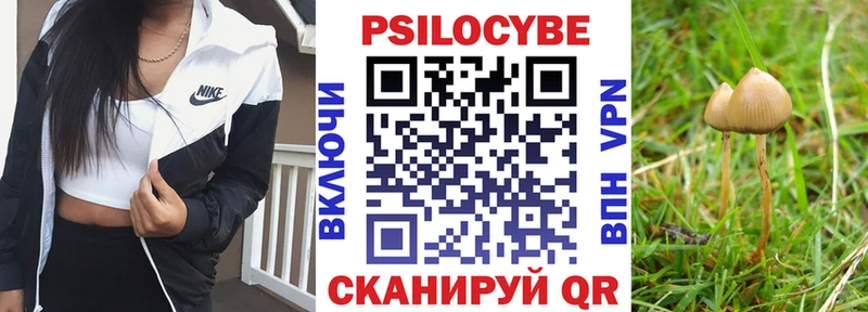 Галлюциногенные грибы MAGIC MUSHROOMS Колпашево
